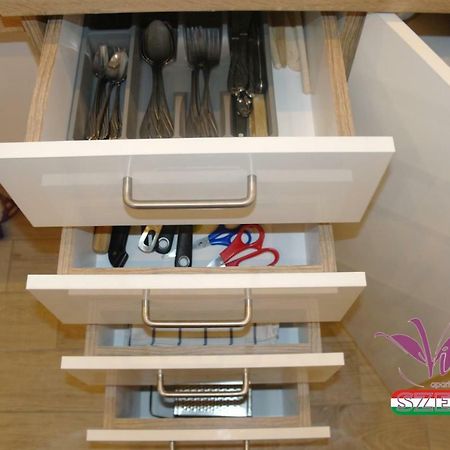 Appartement Viola Apartman With Infra Sauna à Szeged Extérieur photo