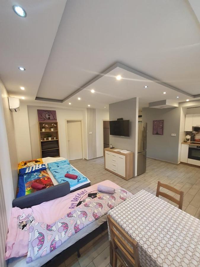 Appartement Viola Apartman With Infra Sauna à Szeged Extérieur photo